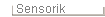 Sensorik